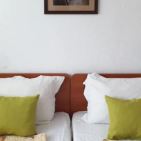 майстор костадин - 1878 Obzor