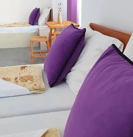 майстор костадин - 1878 Obzor