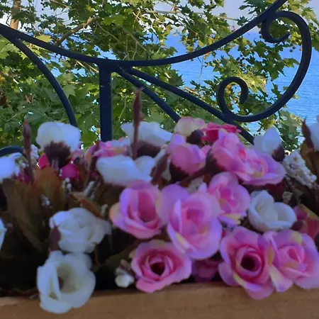 майстор костадин - 1878 Pensiune 3*