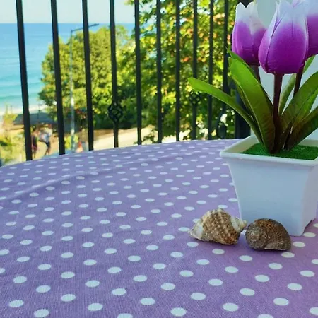 майстор костадин - 1878