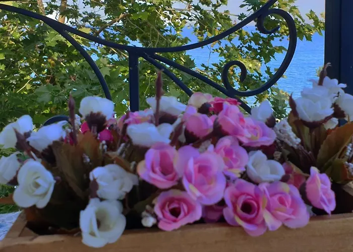 майстор костадин - 1878 招待所 3*