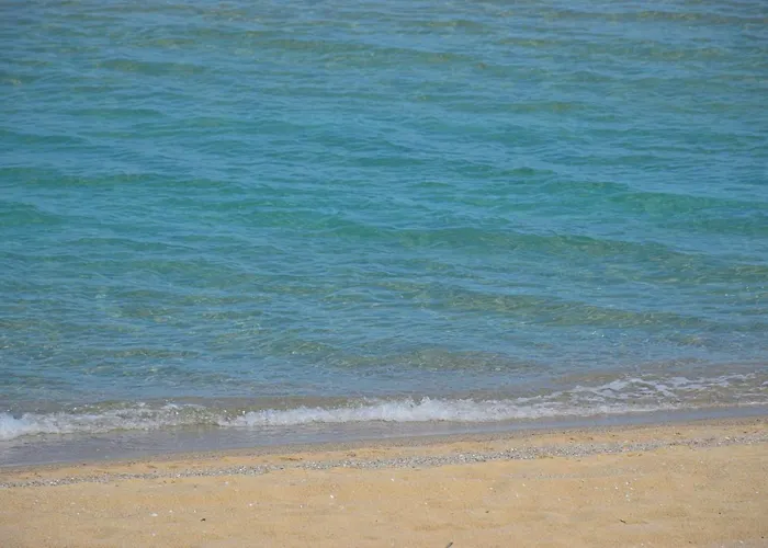 майстор костадин - 1878 招待所