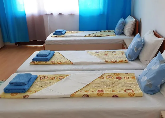 招待所 майстор костадин - 1878